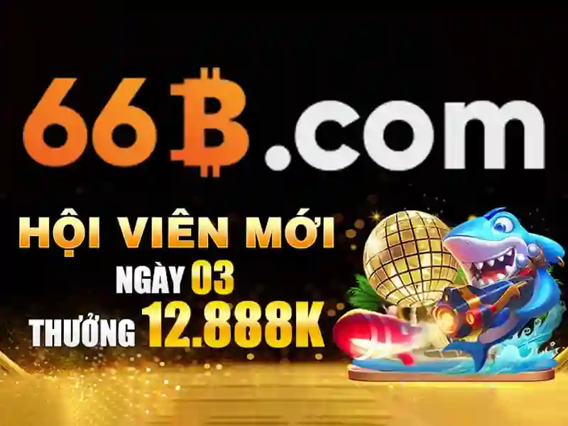 66B trong ngữ cảnh thời trang và áo ngực