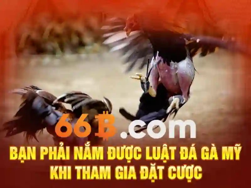 Kiến trúc và tham số\n\n