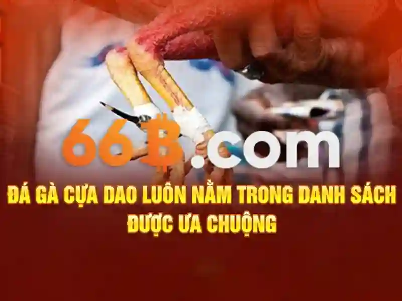 Ưu thế và sức cạnh tranh