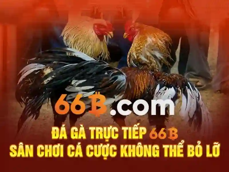66B: một mô hình ngôn ngữ 66 tỷ tham số và hành trình của nó