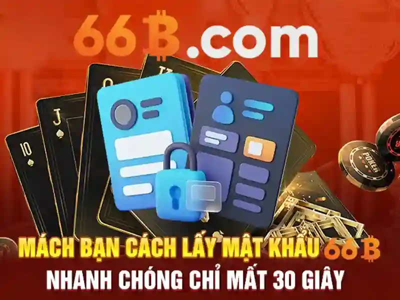 66B là gì?\n\n