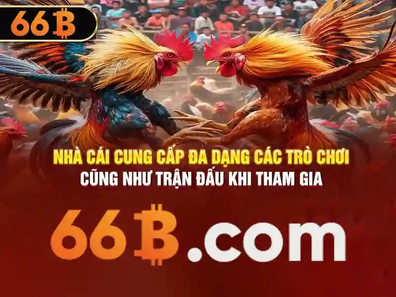 Phản hồi người dùng về 66b quán sứ