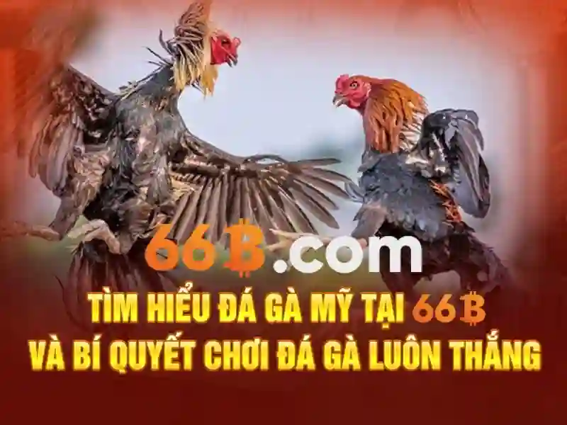 66B: Mô hình ngôn ngữ khối lượng lớn và hành trình của nó