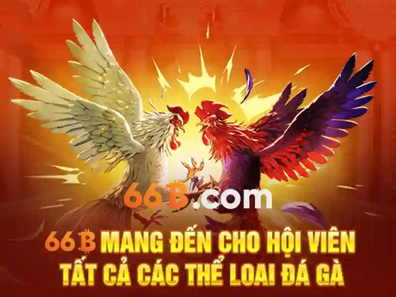Nguồn gốc và ý nghĩa của 66b\n