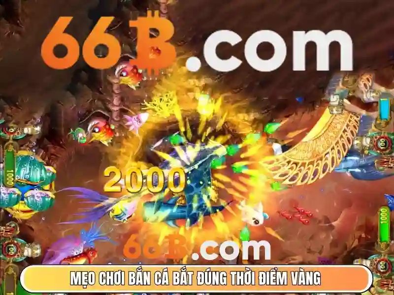 64/66b – Tổng quan chủ đề và giá trị cốt lõi