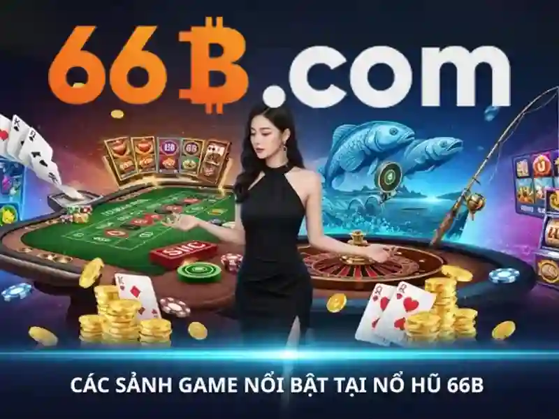 66b là gì?\n