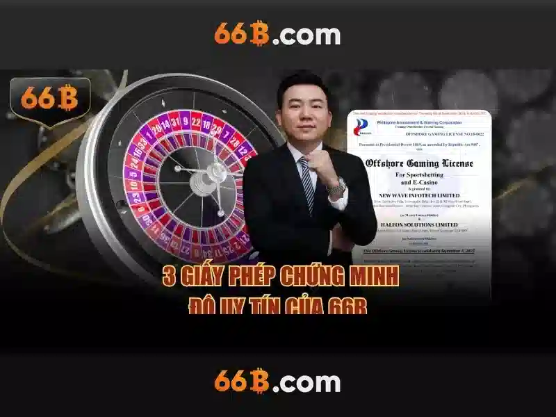 66b: một khái niệm mở trong thế giới số