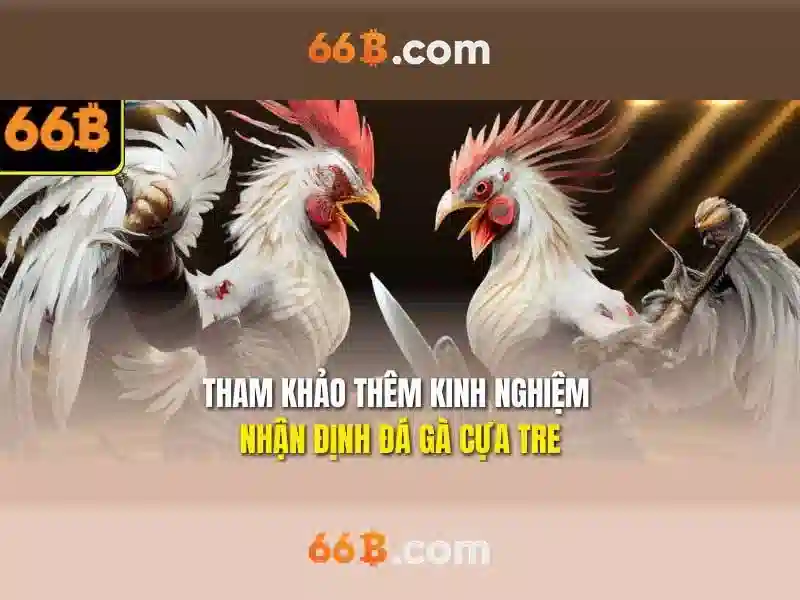 66b: Khái niệm và ứng dụng tiềm năng