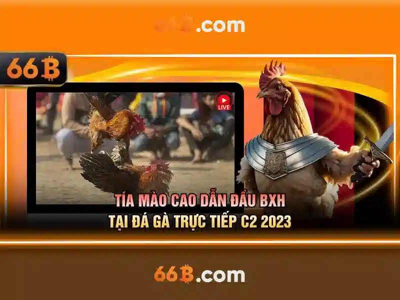 'Linh vuc ung dung cua 66b'\n