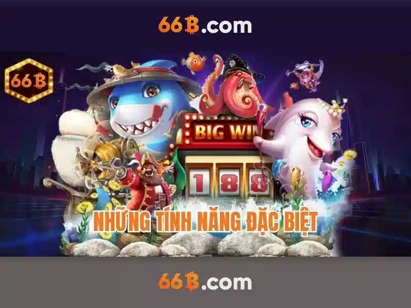66B: Khái niệm và ứng dụng