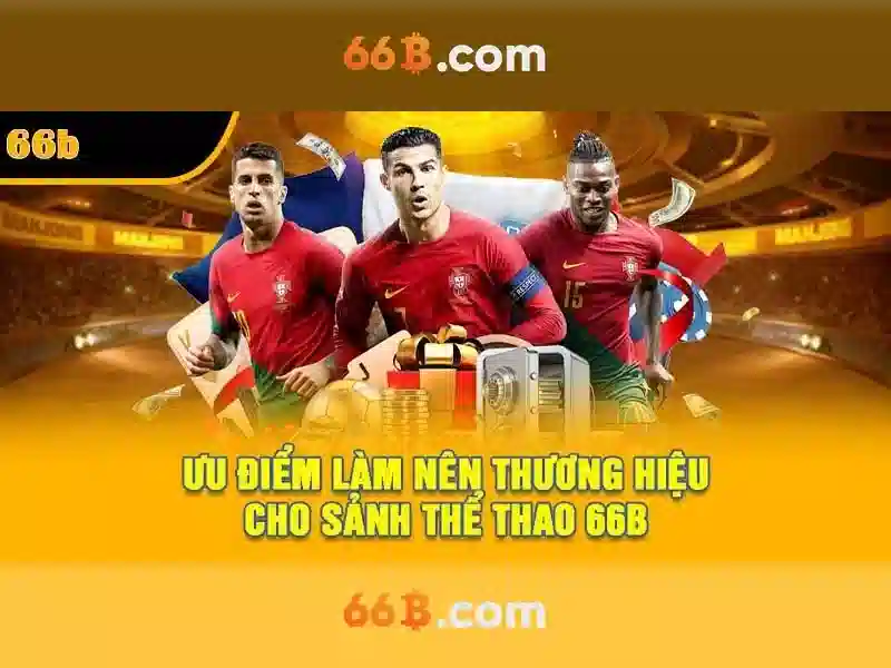66b trần hưng đạo: trải nghiệm và định hình tương lai