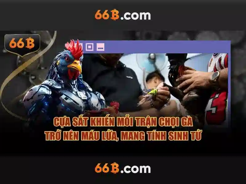 Cấu trúc và hiệu suất\n\n