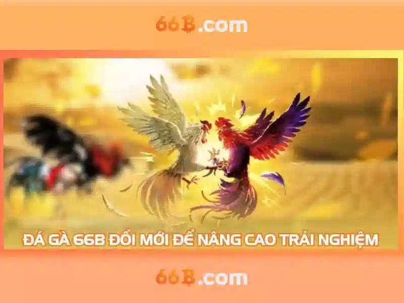 Kiến trúc và đặc tính của 66b