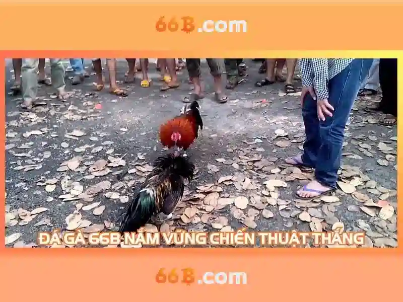 Nguồn gốc và sứ mệnh của 66b quán sứ