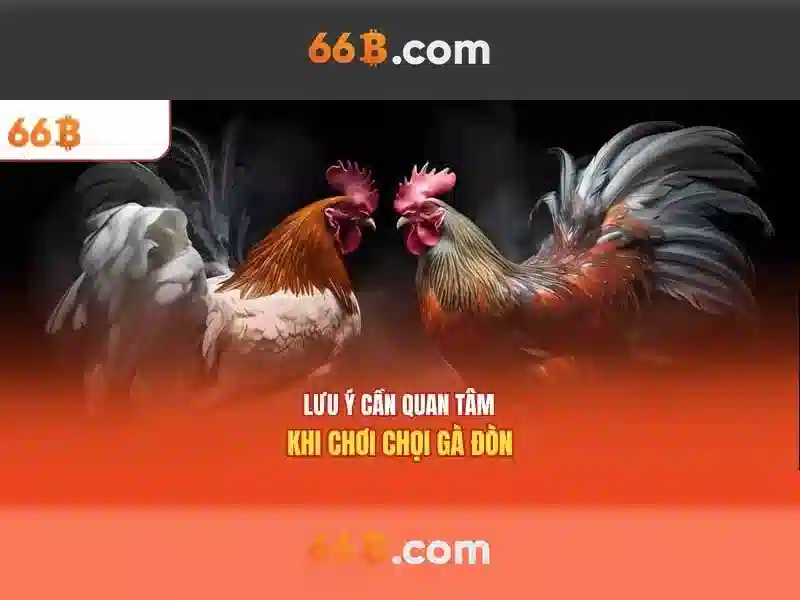 66b trần hưng đạo, hoàn kiếm, hà nội – Nguồn gốc và sứ mệnh