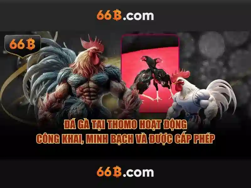 66B: Tổng quan về mô hình ngôn ngữ 66B và tác động của nó