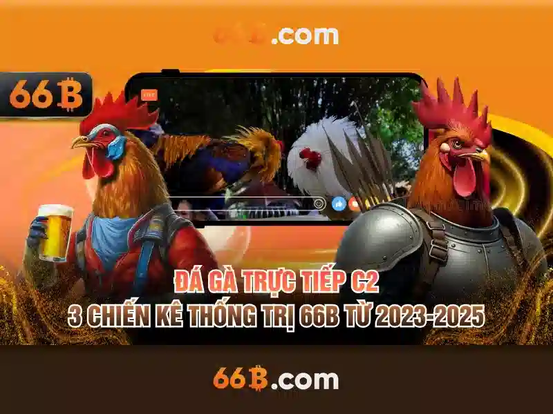 Giao dịch 66b – Tổng quan và ứng dụng thương hiệu