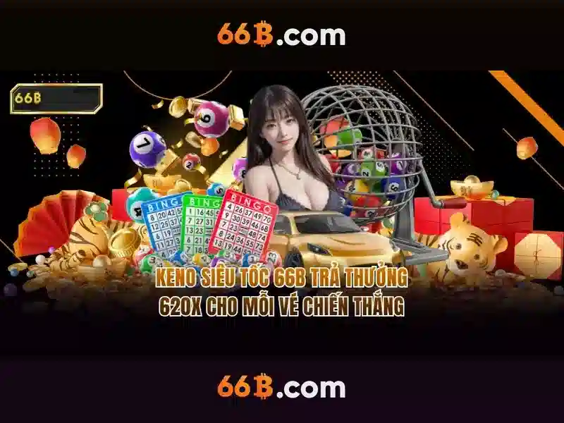 66B là gì?\n