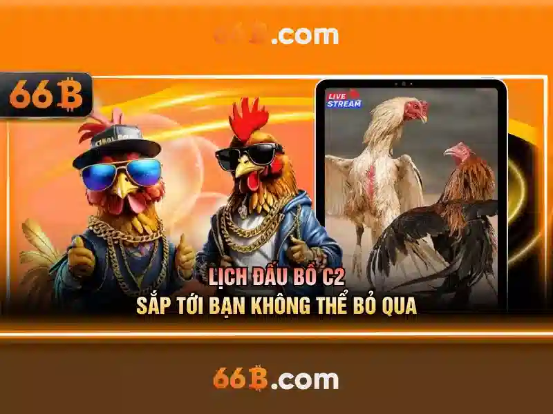 66b: Hiểu về kích thước áo ngực và cách chọn phù hợp