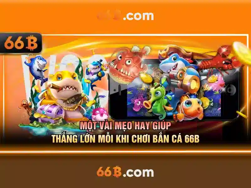 Đặc điểm nổi bật của 66B