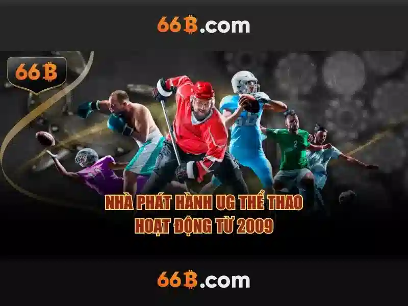 Thách thức và cơ hội khi làm việc với 66b\n
