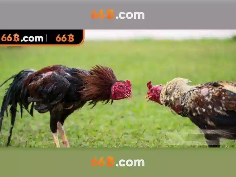 Mẹo chơi bắn cá 3 cây dễ ăn tiền nhà cái