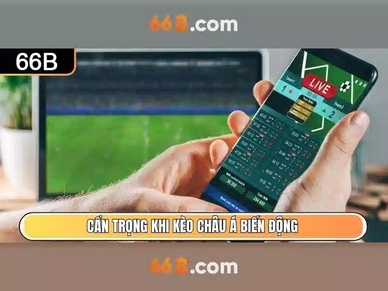 Trải nghiệm người dùng và phản hồi từ cộng đồng\n