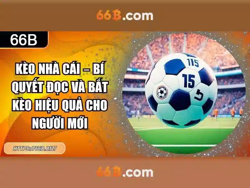 66b: hành trình khám phá công nghệ và dữ liệu