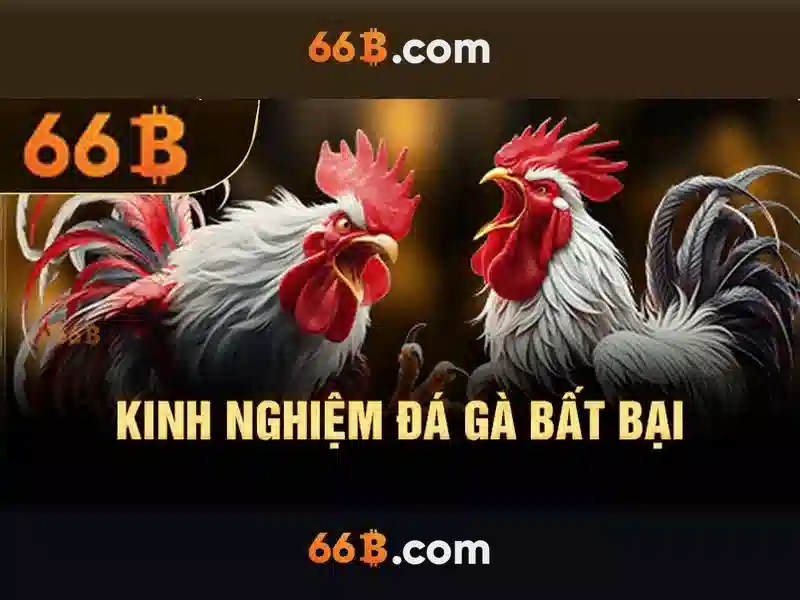 66b trong văn hóa và truyền thông hiện đại