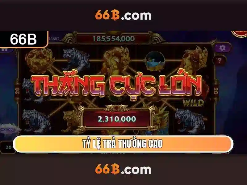 Tổng quan về 66B