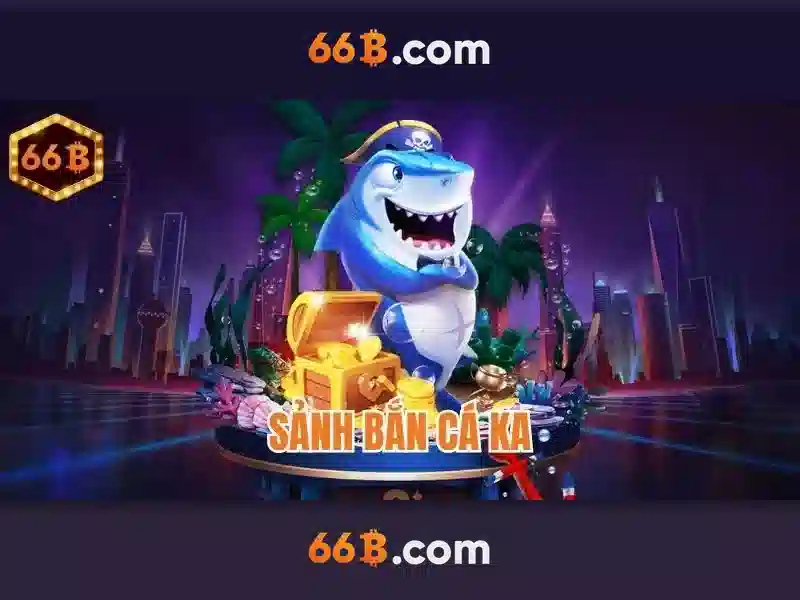 66B là gì?
