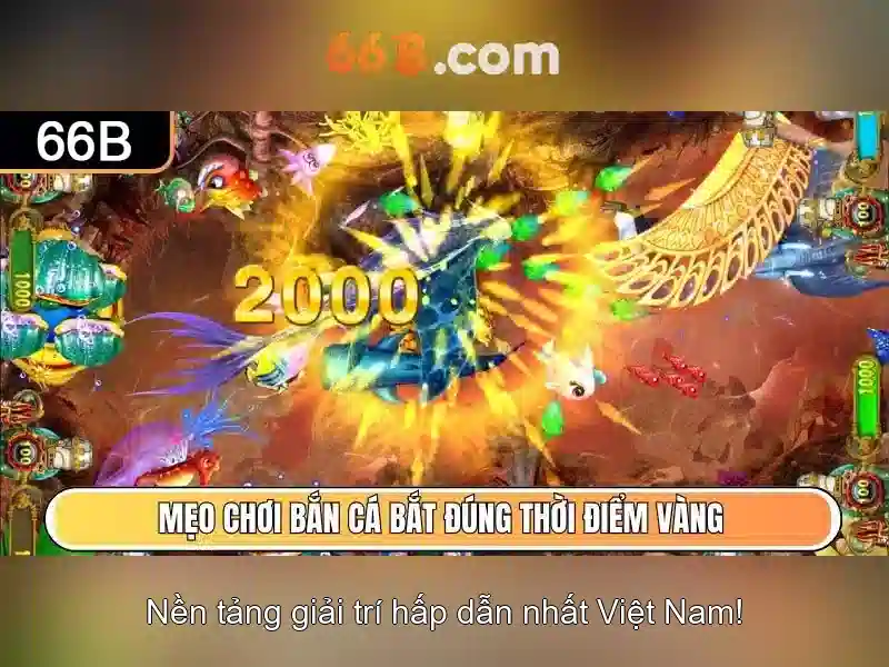 66b: Khái niệm, kiến trúc và ứng dụng