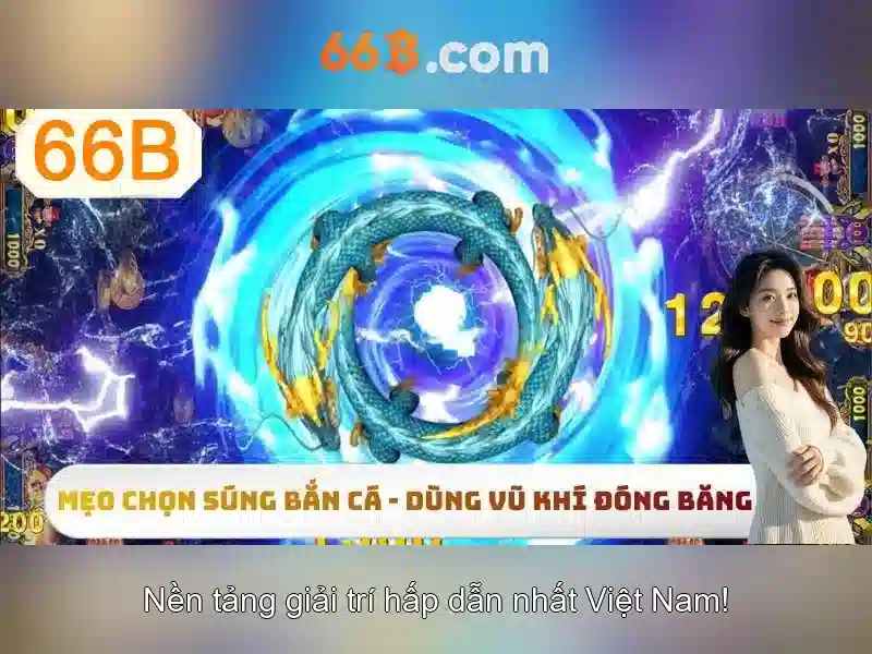 Giới thiệu về 66B