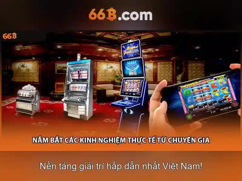66B là gì?\n\n