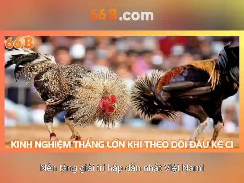 Mẹo chơi bắn cá 3 cây dễ ăn tiền nhà cái