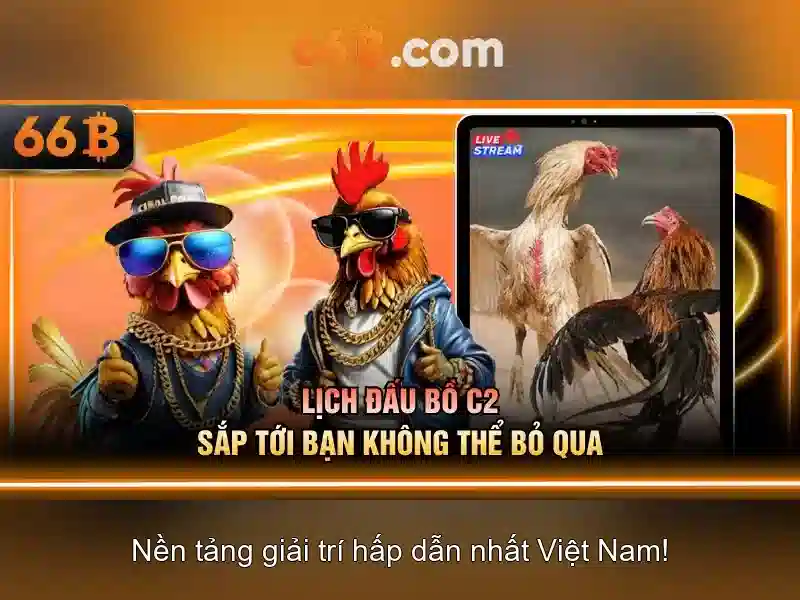 66b: Ve mo hinh ngon ngu 66B