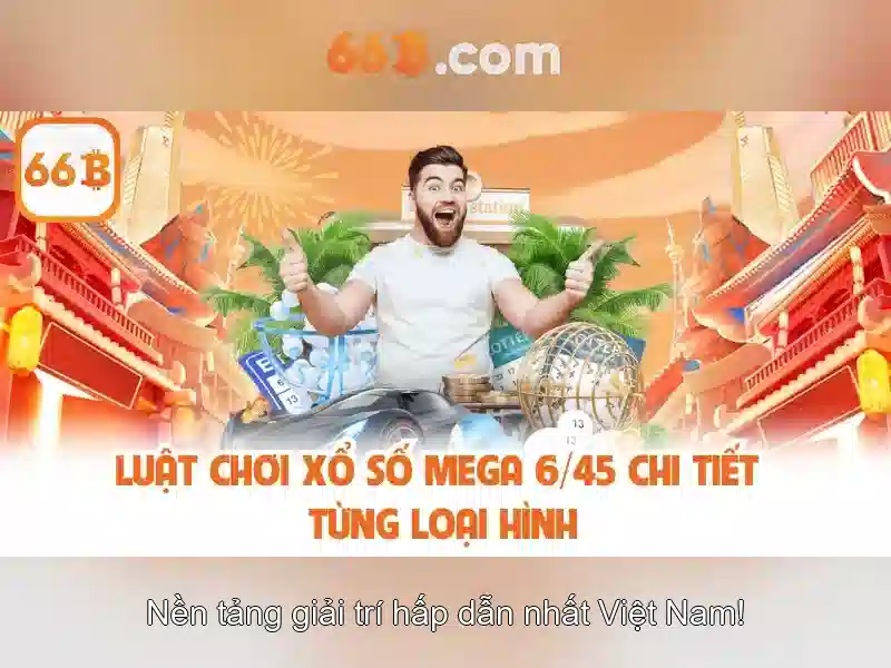 66b là gì?\n