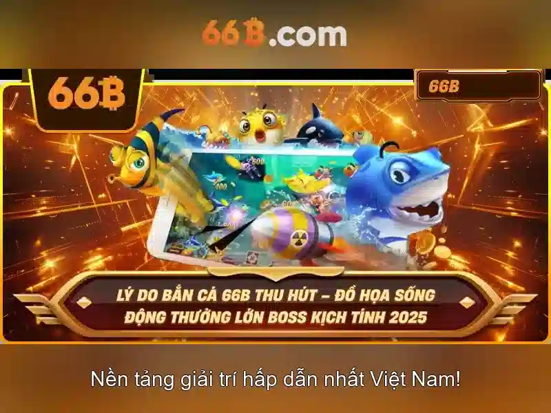 Trải nghiệm với huấn luyện và fine-tuning