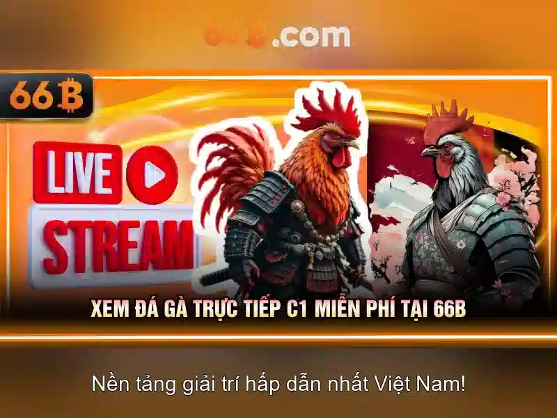 66b: Mô hình ngôn ngữ quy mô lớn và các ứng dụng