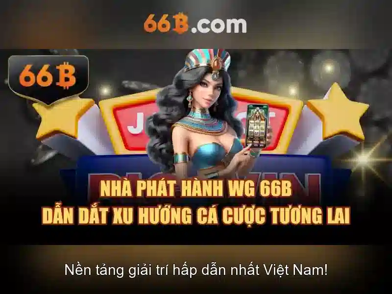 66B là gì và tại sao nó quan trọng?