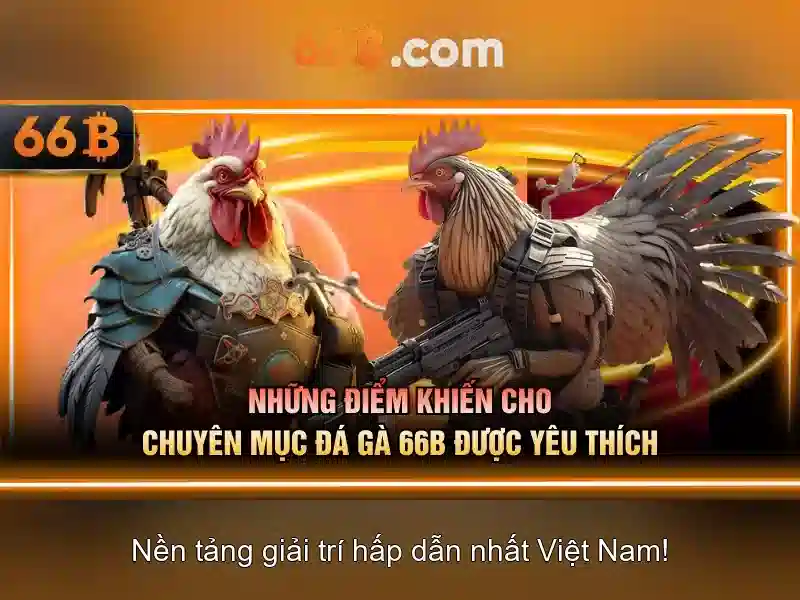 <!--IMG_PLACEHOLDER alt=Biến thể của 66b trong ngành truyền thông--