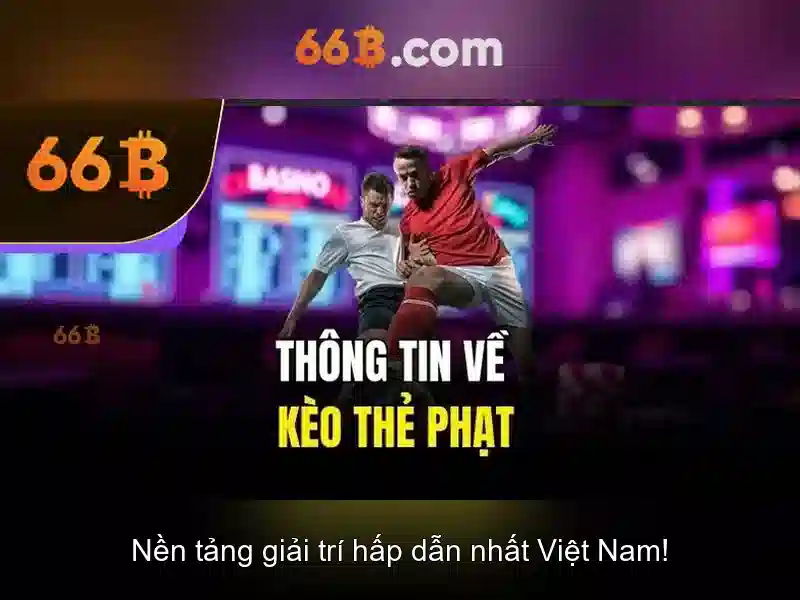 66b: một khái niệm thiết kế linh hoạt