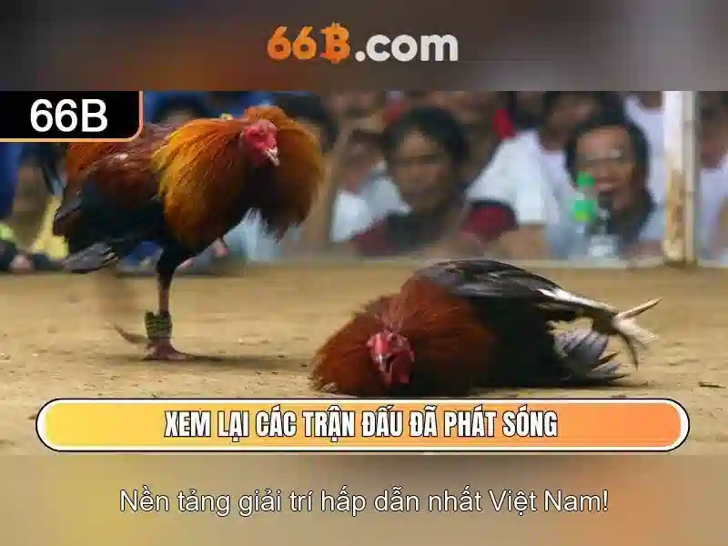 Ứng dụng và thách thức