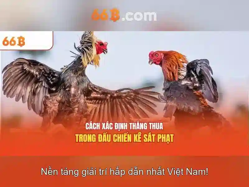 Kiến trúc và quy mô