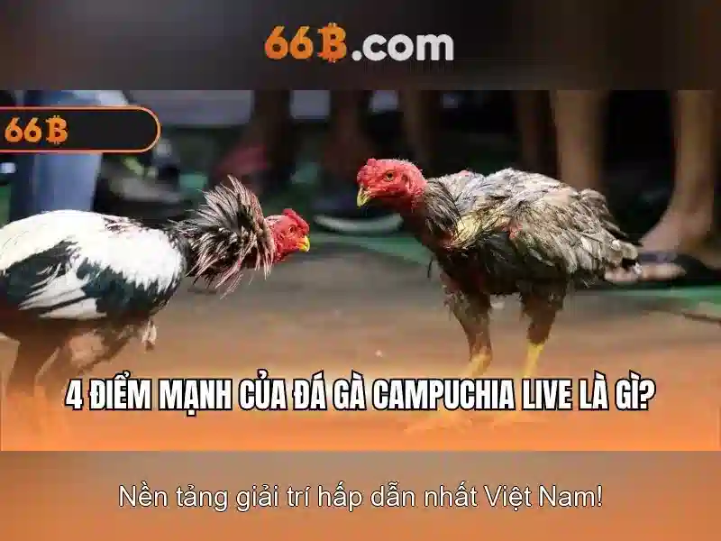 Sản phẩm và dịch vụ – ứng dụng của 66b..com