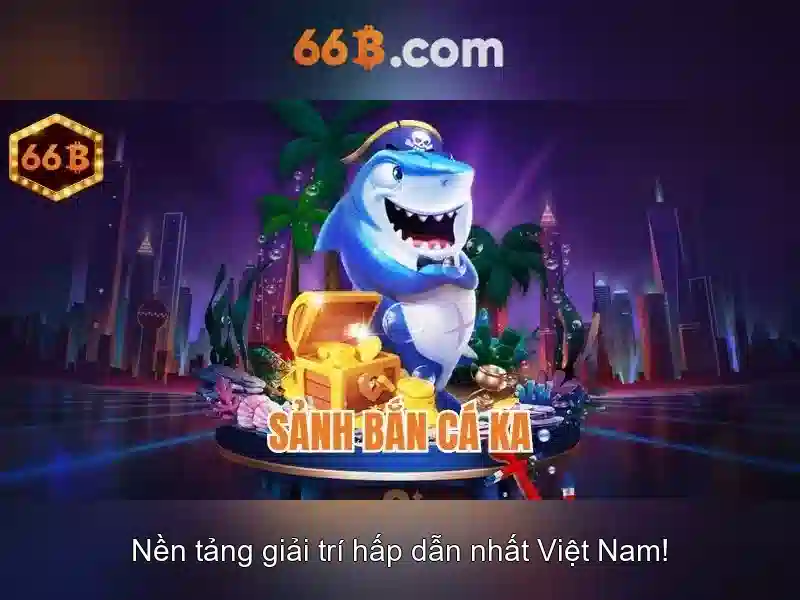 Giới thiệu về kích thước 66B