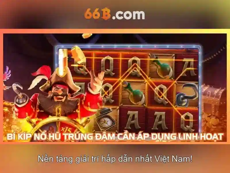 66b là gì?\n