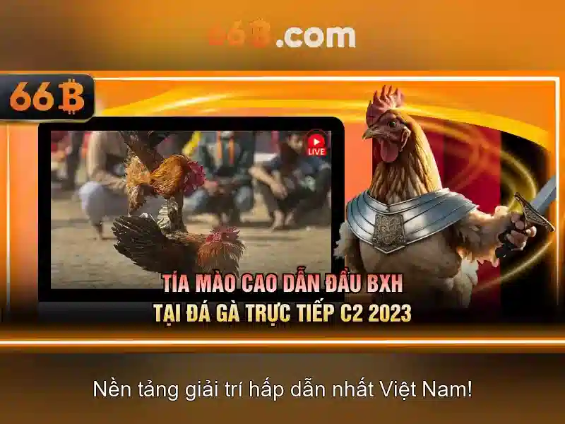 66B là gì?