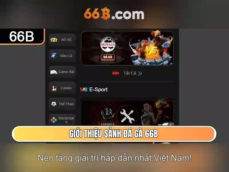 Ứng dụng của 66b