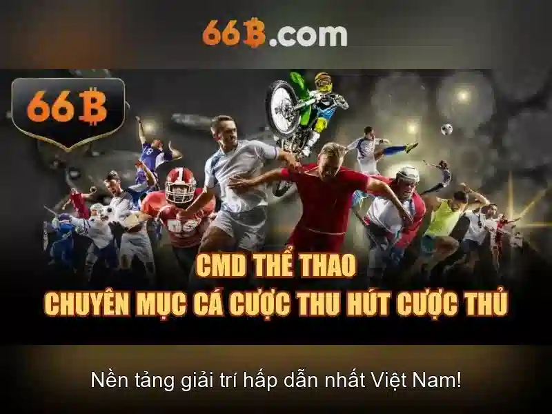 Khái niệm của 66b